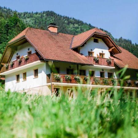 Country House - Turisticna Kmetija Ambroz Gregorc Villa Solčava Eksteriør billede