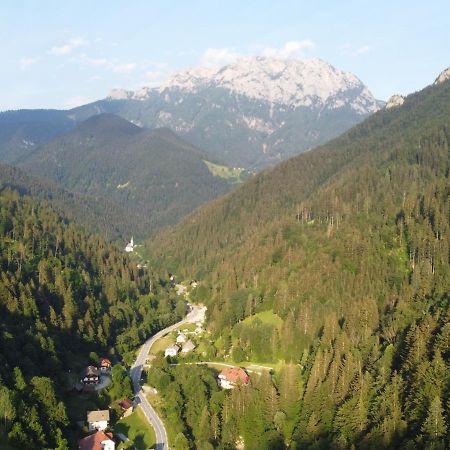 Na Logu - Farm Stay Ambroz Gregorc Solčava Eksteriør billede