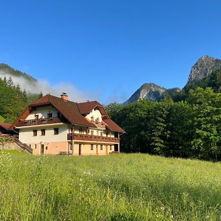 Country House - Turisticna Kmetija Ambroz Gregorc Villa Solčava Eksteriør billede