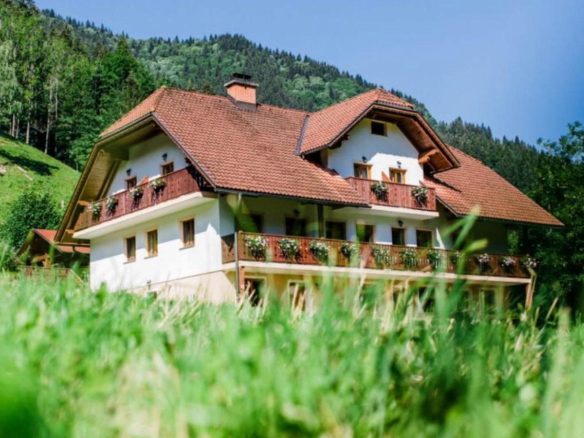 Na Logu - Farm Stay Ambroz Gregorc Solčava Eksteriør billede
