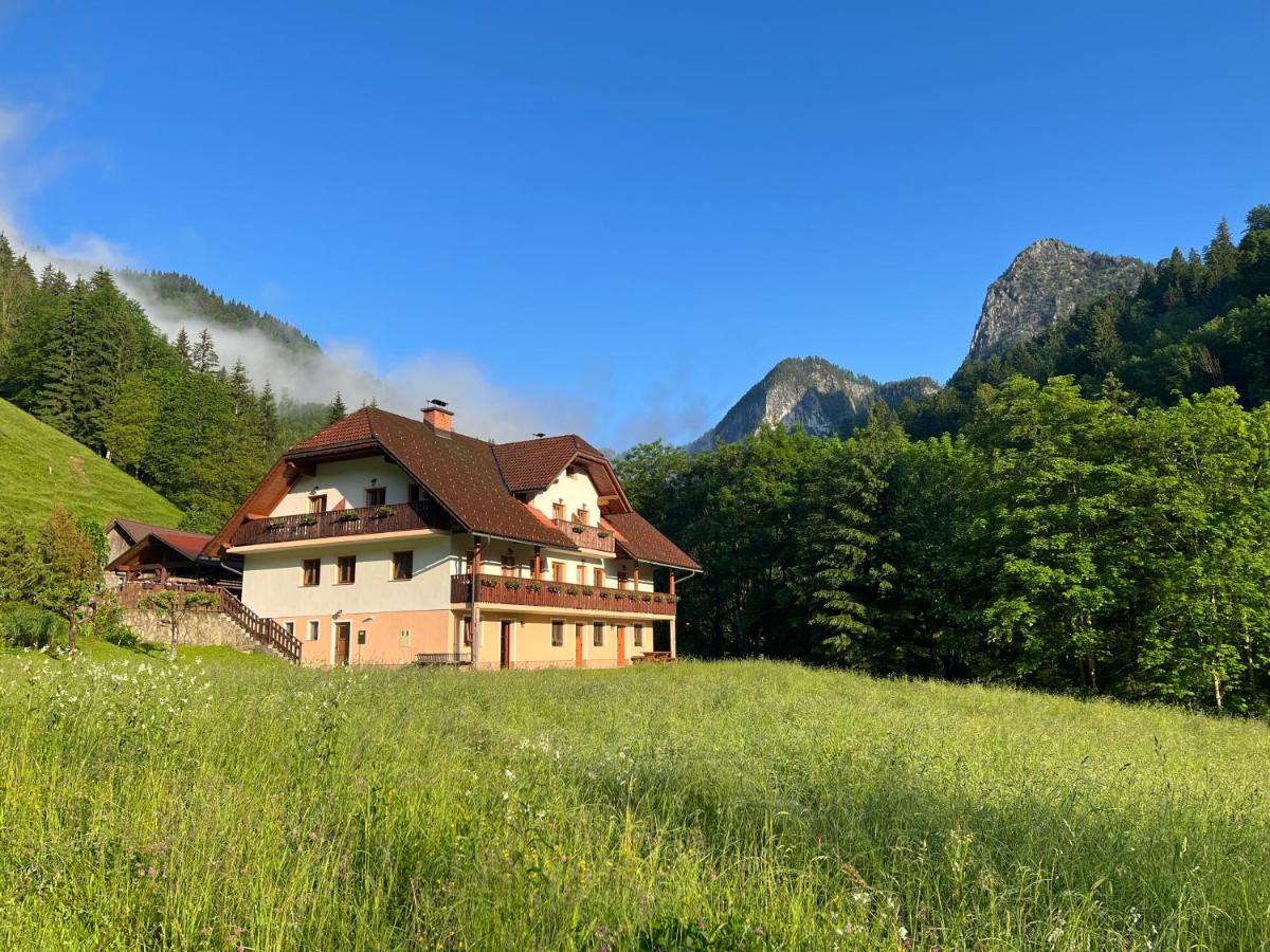 Na Logu - Farm Stay Ambroz Gregorc Solčava Eksteriør billede