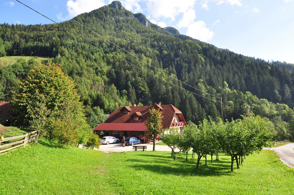 Country House - Turisticna Kmetija Ambroz Gregorc Villa Solčava Eksteriør billede