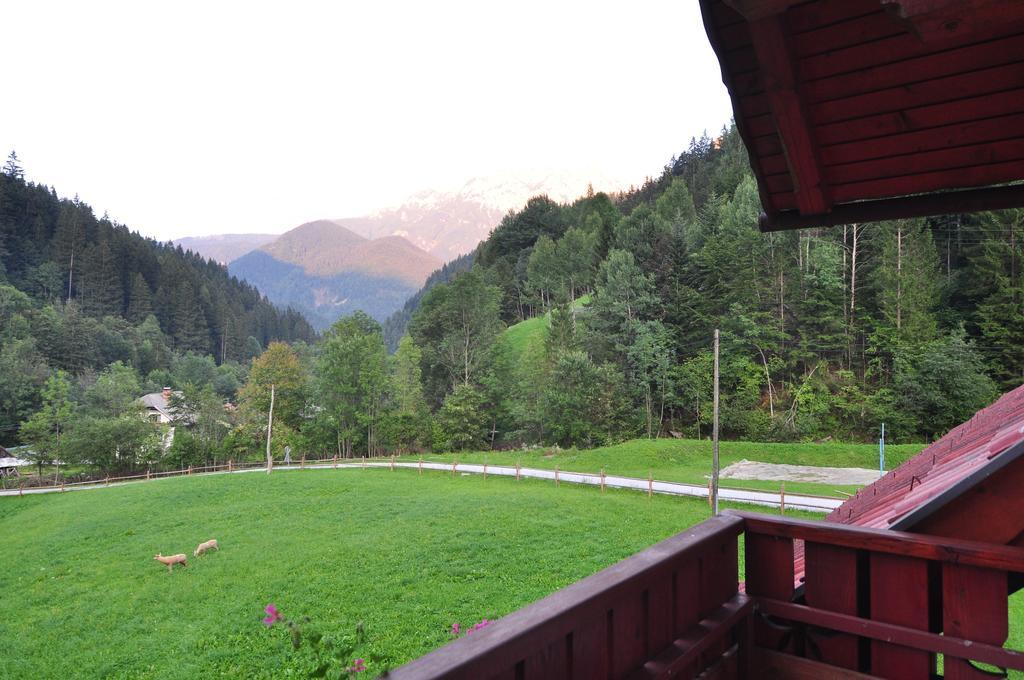 Na Logu - Farm Stay Ambroz Gregorc Solčava Værelse billede