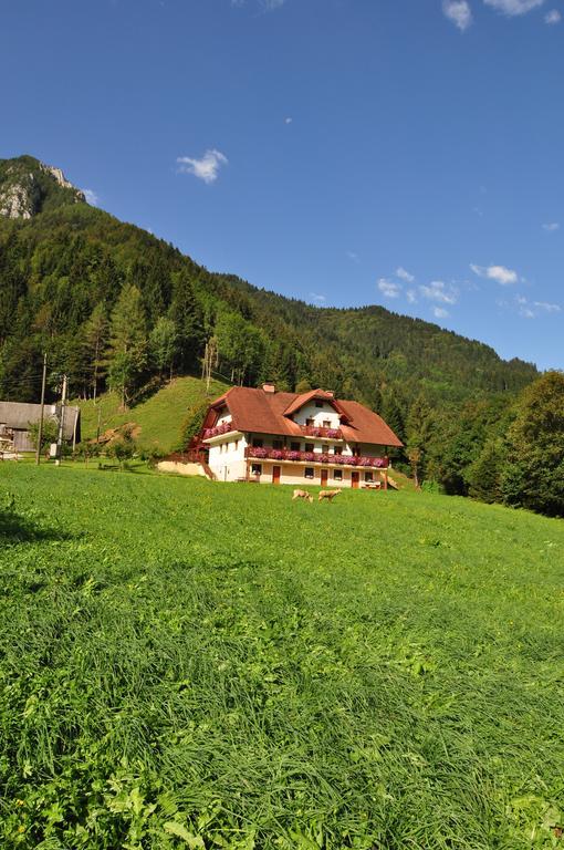 Country House - Turisticna Kmetija Ambroz Gregorc Villa Solčava Eksteriør billede