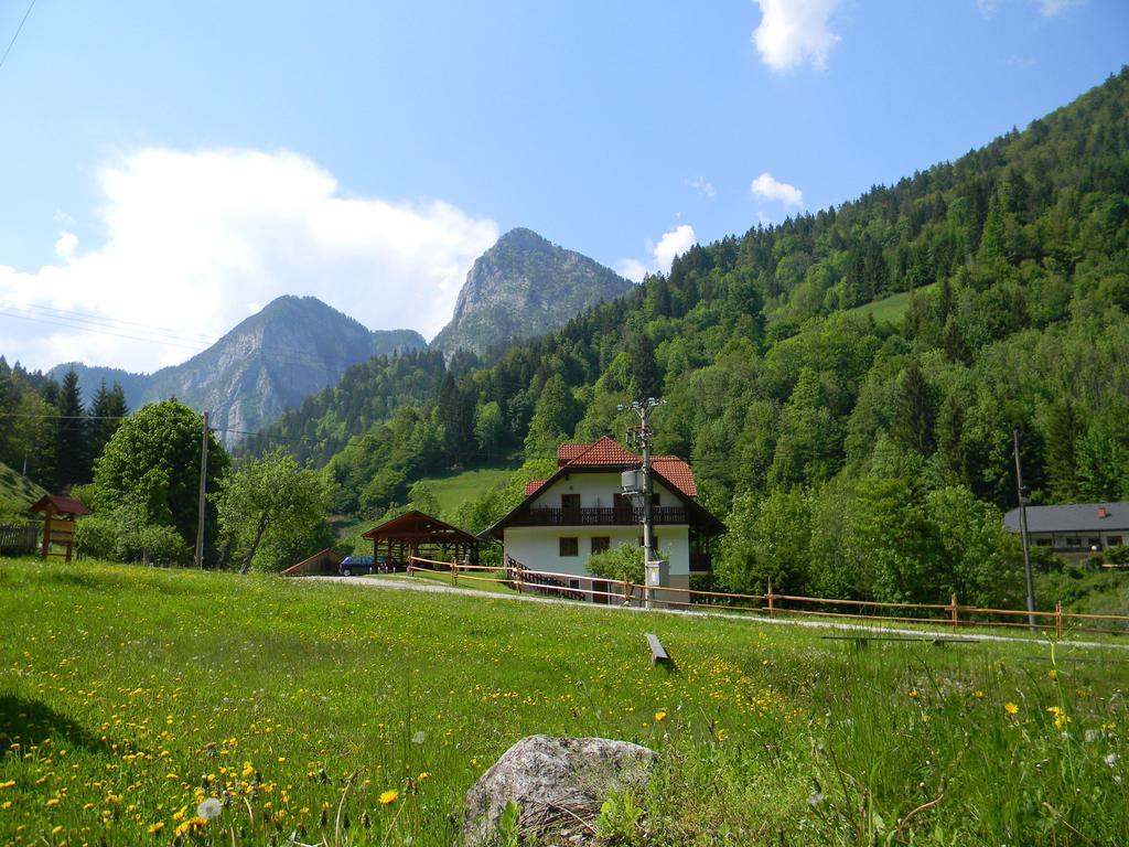Na Logu - Farm Stay Ambroz Gregorc Solčava Eksteriør billede