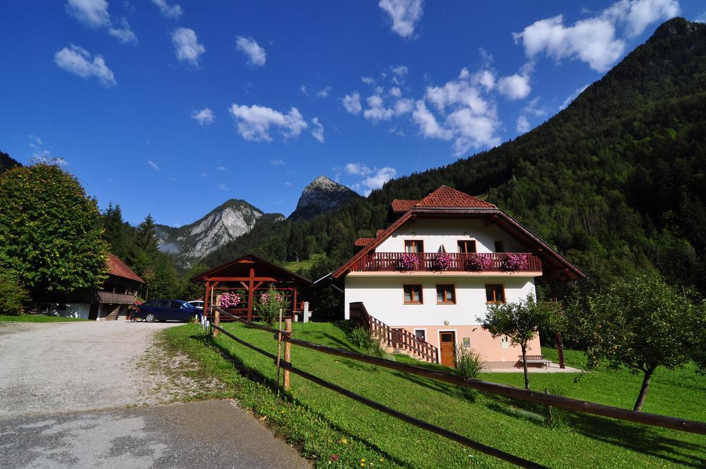 Na Logu - Farm Stay Ambroz Gregorc Solčava Eksteriør billede
