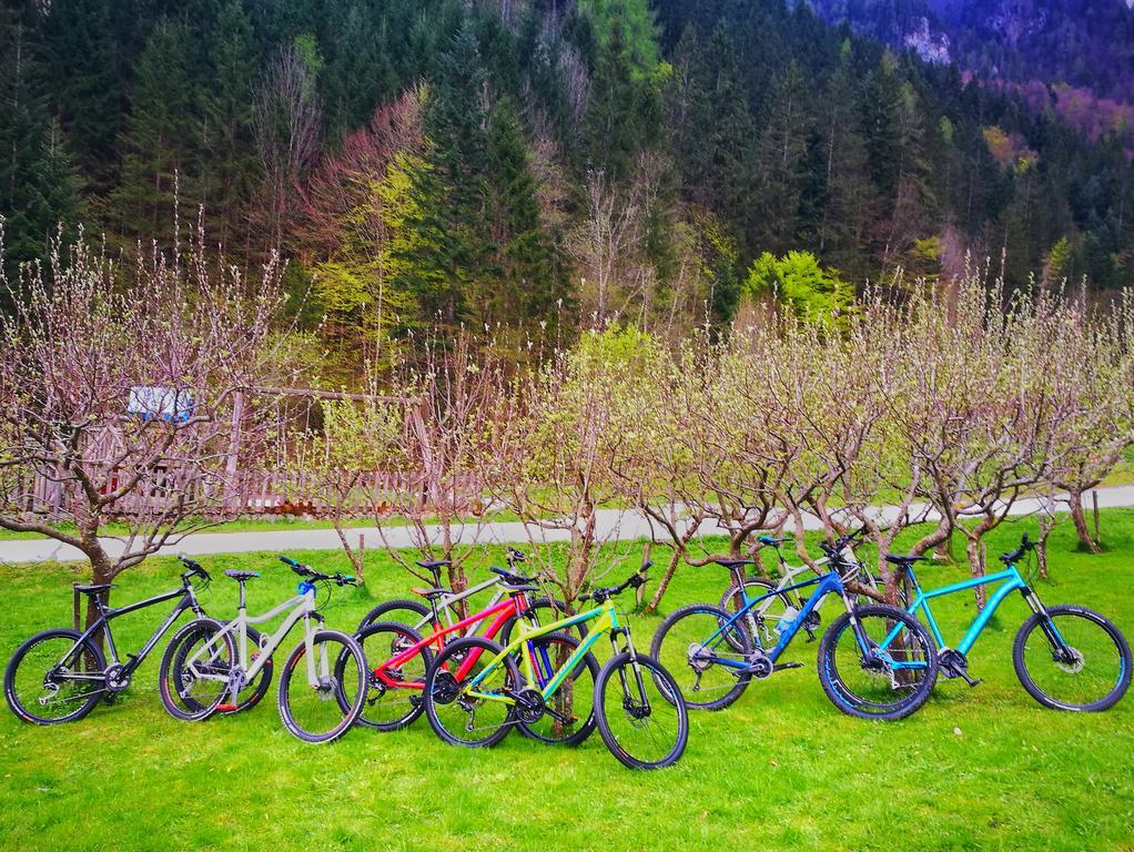 Na Logu - Farm Stay Ambroz Gregorc Solčava Eksteriør billede